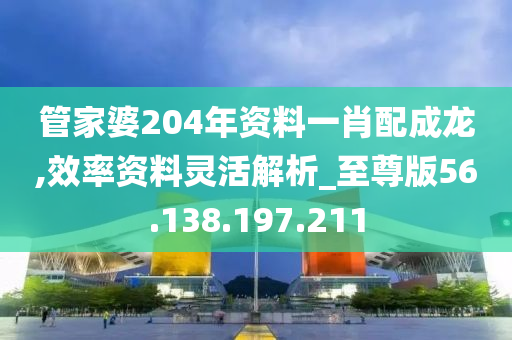 管家婆204年资料一肖配成龙,效率资料灵活解析_至尊版56.138.197.211