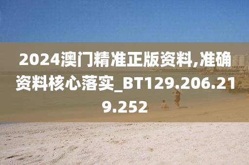 2024澳门精准正版资料,准确资料核心落实_BT129.206.219.252