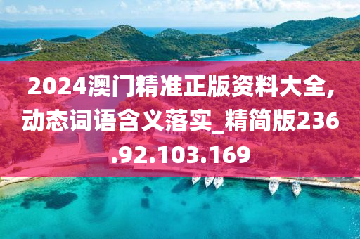 2024澳门精准正版资料大全,动态词语含义落实_精简版236.92.103.169