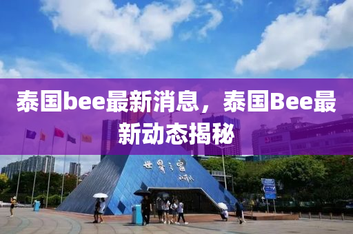 泰国bee最新消息，泰国Bee最新动态揭秘