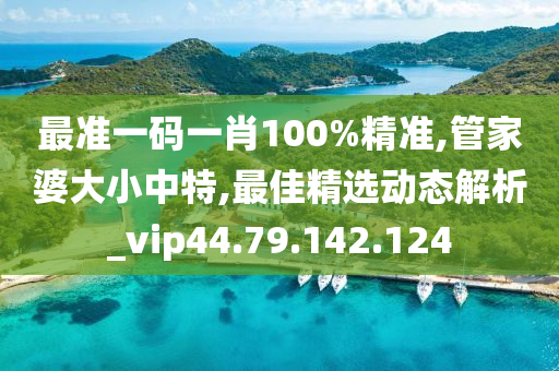 最准一码一肖100%精准,管家婆大小中特,最佳精选动态解析_vip44.79.142.124