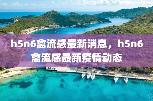 h5n6禽流感最新消息，h5n6禽流感最新疫情动态