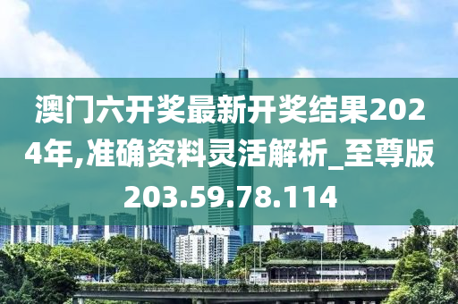 澳门六开奖最新开奖结果2024年,准确资料灵活解析_至尊版203.59.78.114