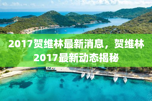 2017贺维林最新消息，贺维林2017最新动态揭秘