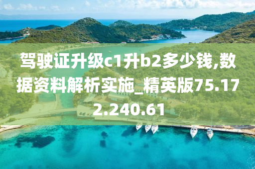 驾驶证升级c1升b2多少钱,数据资料解析实施_精英版75.172.240.61