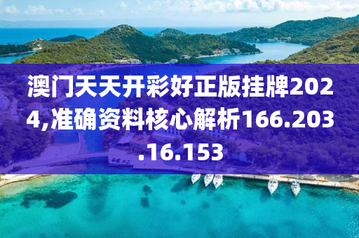 澳门天天开彩好正版挂牌2024,准确资料核心解析166.203.16.153