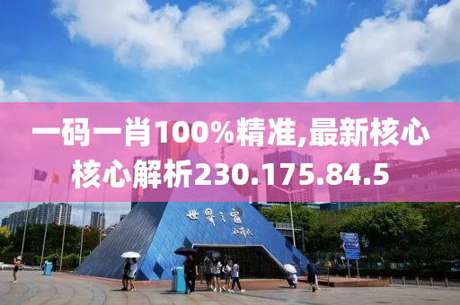 一码一肖100%精准,最新核心核心解析230.175.84.5