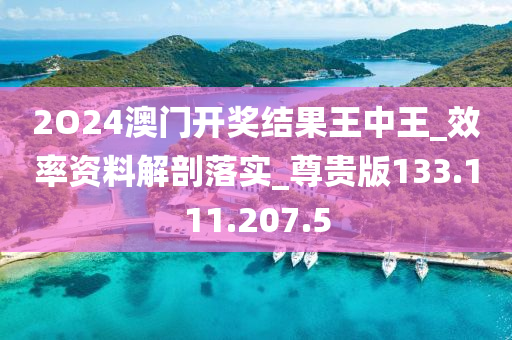 2O24澳门开奖结果王中王_效率资料解剖落实_尊贵版133.111.207.5