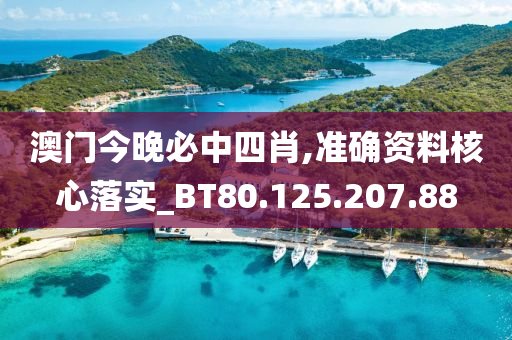 澳门今晚必中四肖,准确资料核心落实_BT80.125.207.88