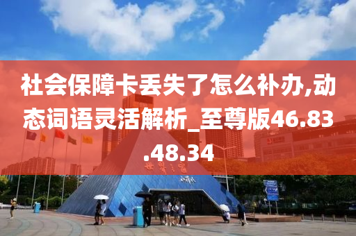 社会保障卡丢失了怎么补办,动态词语灵活解析_至尊版46.83.48.34