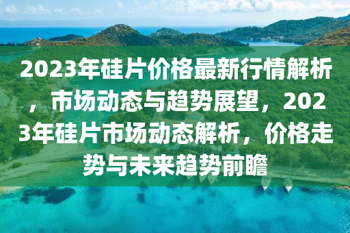 2023年硅片价格最新行情解析，市场动态与趋势展望，2023年硅片市场动态解析，价格走势与未来趋势前瞻