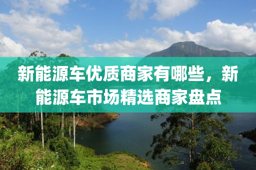 新能源车优质商家有哪些，新能源车市场精选商家盘点