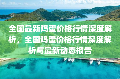 全国最新鸡蛋价格行情深度解析，全国鸡蛋价格行情深度解析与最新动态报告