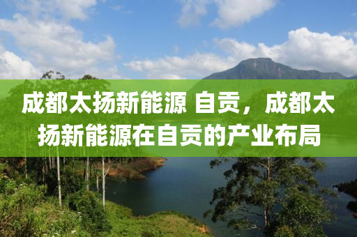 成都太扬新能源 自贡，成都太扬新能源在自贡的产业布局