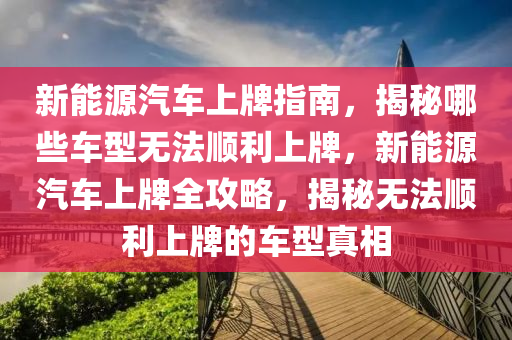 新能源汽车上牌指南，揭秘哪些车型无法顺利上牌，新能源汽车上牌全攻略，揭秘无法顺利上牌的车型真相