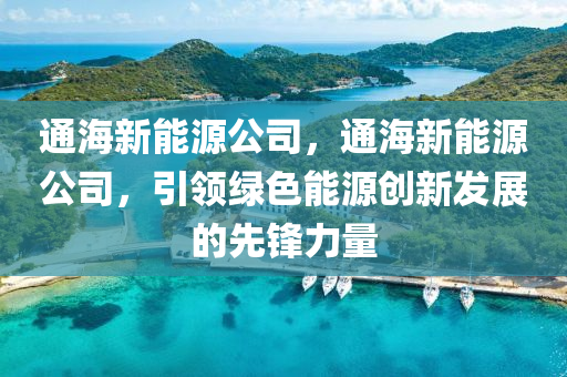 通海新能源公司，通海新能源公司，引领绿色能源创新发展的先锋力量