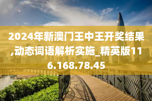 2024年新澳门王中王开奖结果,动态词语解析实施_精英版116.168.78.45