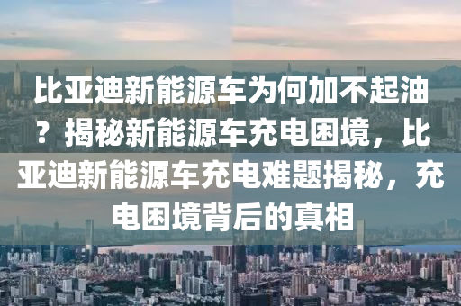 比亚迪新能源车为何加不起油？揭秘新能源车充电困境，比亚迪新能源车充电难题揭秘，充电困境背后的真相