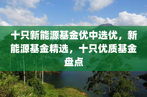 十只新能源基金优中选优，新能源基金精选，十只优质基金盘点