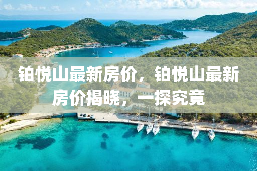 铂悦山最新房价，铂悦山最新房价揭晓，一探究竟