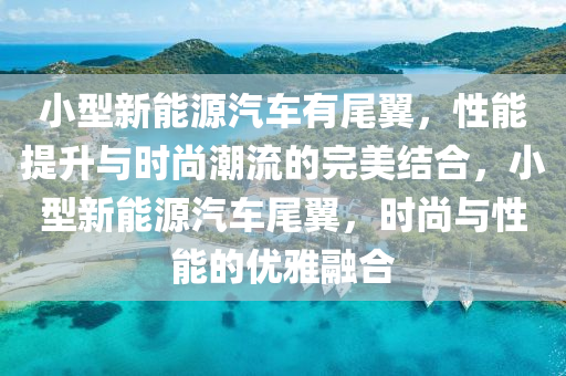 小型新能源汽车有尾翼，性能提升与时尚潮流的完美结合，小型新能源汽车尾翼，时尚与性能的优雅融合