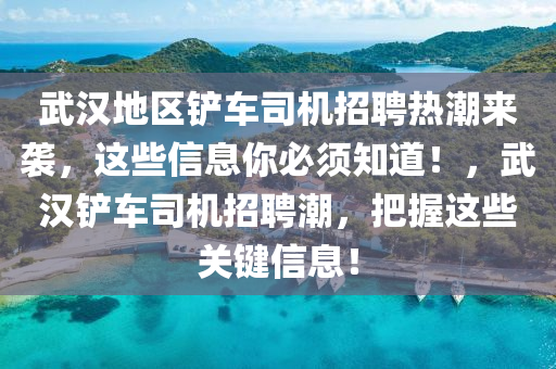 武汉地区铲车司机招聘热潮来袭，这些信息你必须知道！，武汉铲车司机招聘潮，把握这些关键信息！