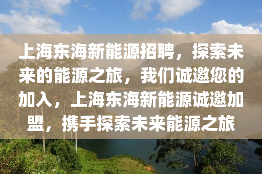 上海东海新能源招聘，探索未来的能源之旅，我们诚邀您的加入，上海东海新能源诚邀加盟，携手探索未来能源之旅