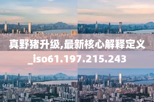 真野猪升级,最新核心解释定义_iso61.197.215.243