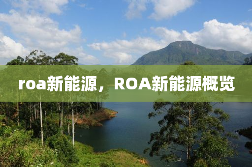 roa新能源，ROA新能源概览