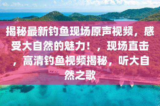 揭秘最新钓鱼现场原声视频，感受大自然的魅力！，现场直击，高清钓鱼视频揭秘，听大自然之歌