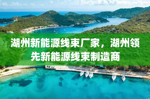 湖州新能源线束厂家，湖州领先新能源线束制造商