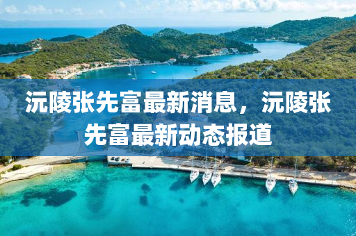 沅陵张先富最新消息，沅陵张先富最新动态报道