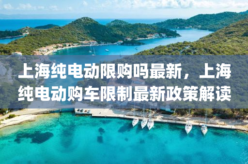 上海纯电动限购吗最新，上海纯电动购车限制最新政策解读