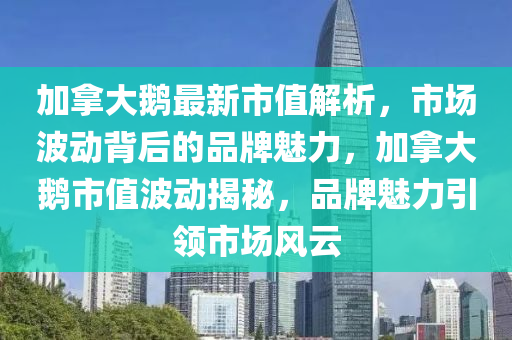 加拿大鹅最新市值解析，市场波动背后的品牌魅力，加拿大鹅市值波动揭秘，品牌魅力引领市场风云