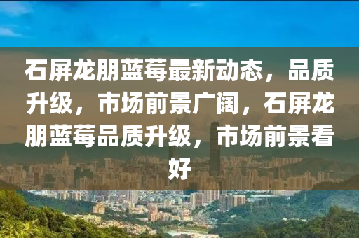 石屏龙朋蓝莓最新动态，品质升级，市场前景广阔，石屏龙朋蓝莓品质升级，市场前景看好