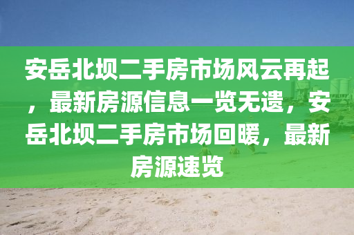 安岳北坝二手房市场风云再起，最新房源信息一览无遗，安岳北坝二手房市场回暖，最新房源速览