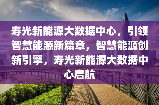 寿光新能源大数据中心，引领智慧能源新篇章，智慧能源创新引擎，寿光新能源大数据中心启航