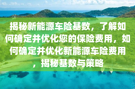 揭秘新能源车险基数，了解如何确定并优化您的保险费用，如何确定并优化新能源车险费用，揭秘基数与策略