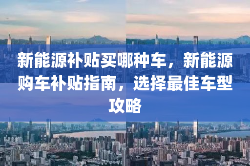 新能源补贴买哪种车，新能源购车补贴指南，选择最佳车型攻略