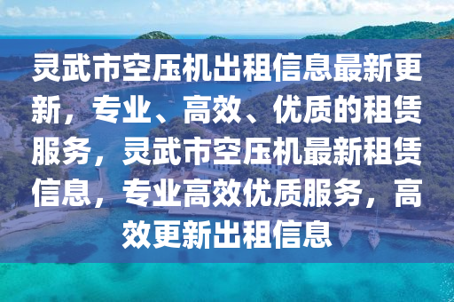 灵武市空压机出租信息最新更新，专业、高效、优质的租赁服务，灵武市空压机最新租赁信息，专业高效优质服务，高效更新出租信息