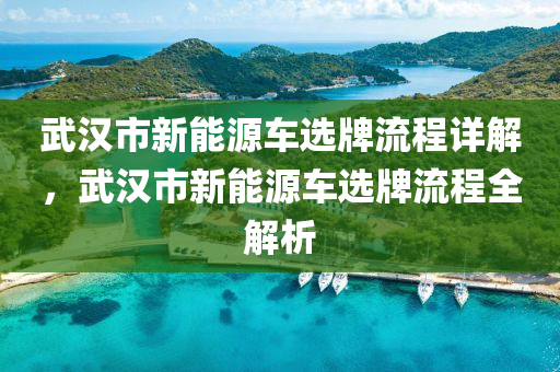 武汉市新能源车选牌流程详解，武汉市新能源车选牌流程全解析