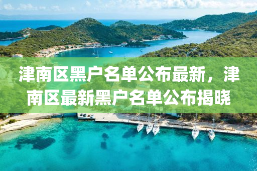 津南区黑户名单公布最新，津南区最新黑户名单公布揭晓