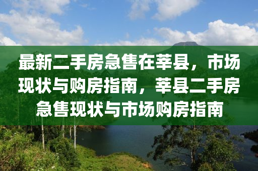 最新二手房急售在莘县，市场现状与购房指南，莘县二手房急售现状与市场购房指南