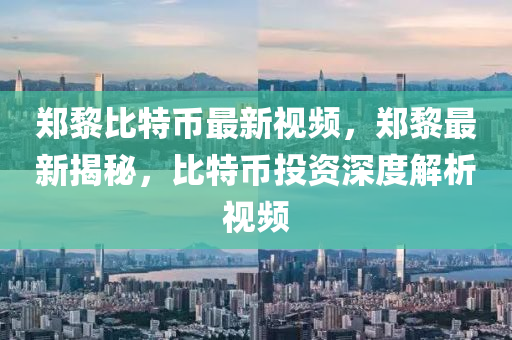 郑黎比特币最新视频，郑黎最新揭秘，比特币投资深度解析视频