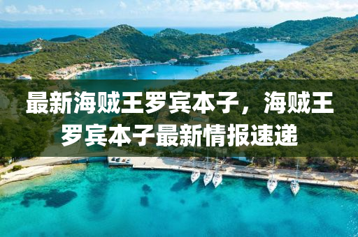 最新海贼王罗宾本子，海贼王罗宾本子最新情报速递