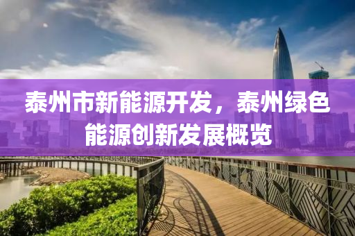 泰州市新能源开发，泰州绿色能源创新发展概览