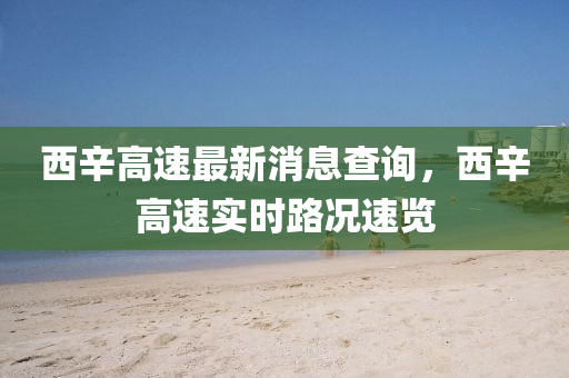 西辛高速最新消息查询，西辛高速实时路况速览