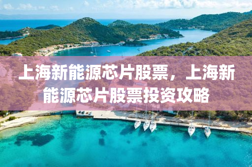 上海新能源芯片股票，上海新能源芯片股票投资攻略