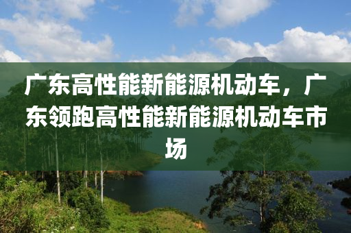 广东高性能新能源机动车，广东领跑高性能新能源机动车市场