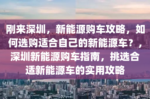 刚来深圳，新能源购车攻略，如何选购适合自己的新能源车？，深圳新能源购车指南，挑选合适新能源车的实用攻略